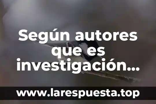 Según autores que es investigación de campo