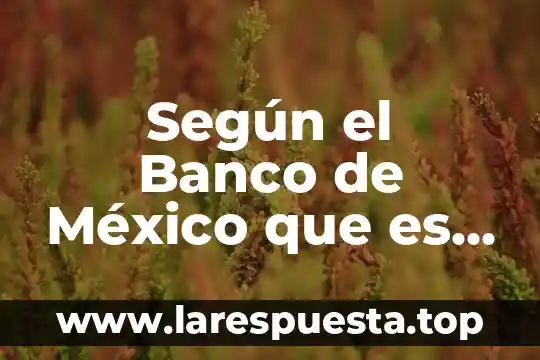 Que es un proyecto de inversion en mexico 3 Según el Banco de México que es un ingreso