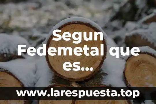 Segun Fedemetal que es metalmecanica