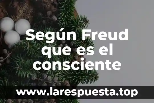 Que es el complejo de edipo y electra segun freud 8 Según Freud que es el consciente