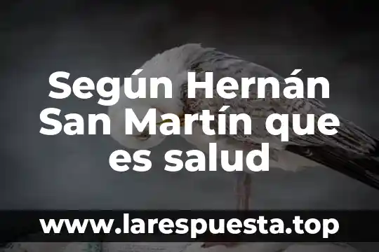 Según Hernán San Martín que es salud