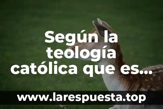 Que es proceso cognoscitivo elementos 5 Según la teología católica que es un elemento cognoscitivo