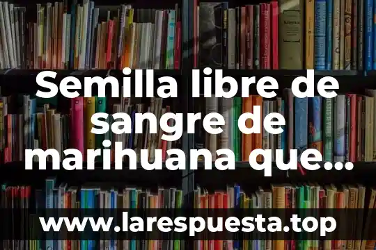 Para que es el analisis de sangre mg 6 Semilla libre de sangre de marihuana que es