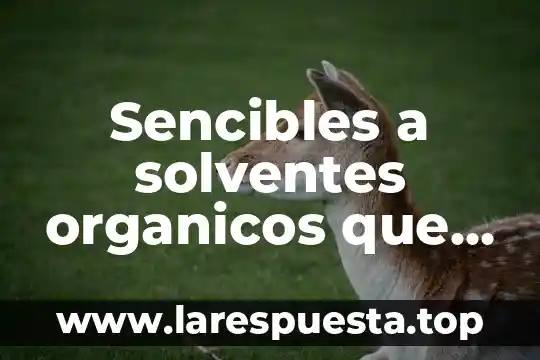 Que es la fase de aplicacion en una investigacion 3 Sencibles a solventes organicos que es