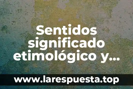 Qué es SMED significado 5 Sentidos significado etimológico y que es
