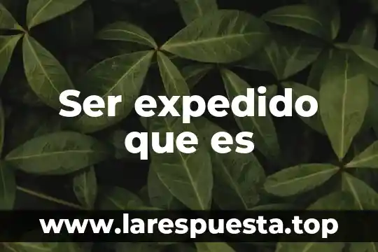 Ser expedido que es