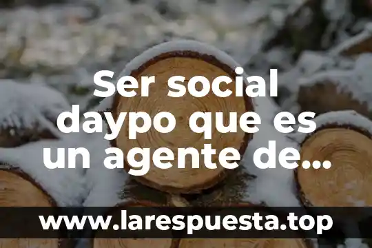 Ser social daypo que es un agente de socializacion