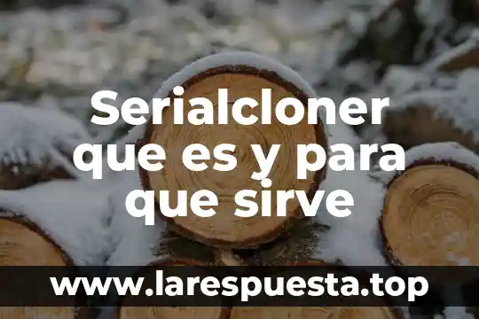 Qué es una evaluación previa y para qué sirve 5 Serialcloner que es y para que sirve