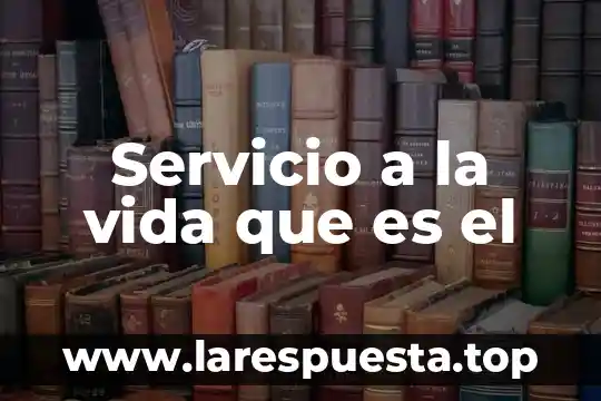 Servicio a la vida que es el