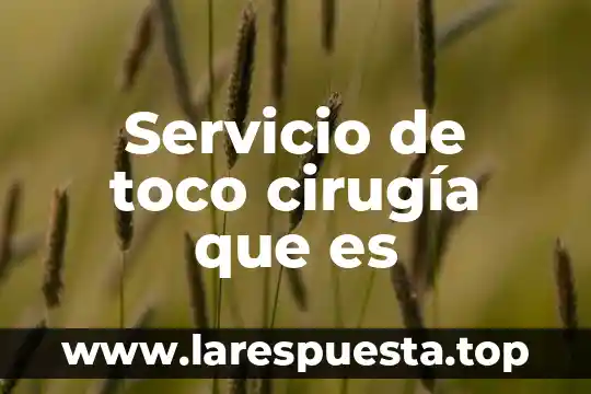 Que es una cirugia programada 5 Servicio de toco cirugía que es