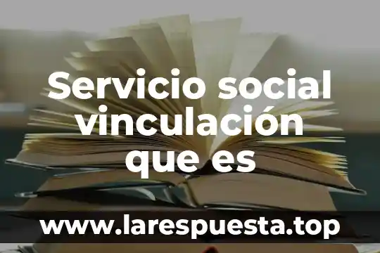 Que es un objeto social y un producto 4 Servicio social vinculación que es