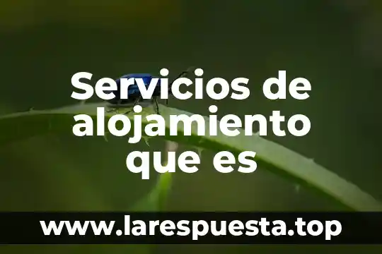 Qué es servicios a terceros 7 Servicios de alojamiento que es