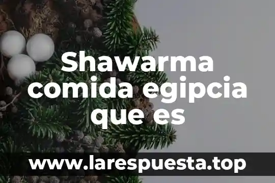Shawarma comida egipcia que es