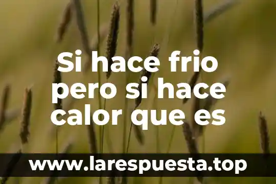 Que es lo que hace una bala 6 Si hace frio pero si hace calor que es