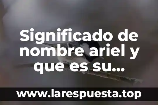 Significado de nombre ariel y que es su pasion
