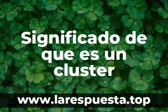 Qué es SMED significado 4 Significado de que es un cluster