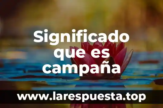 Que es topicos significado profesional 4 Significado que es campaña