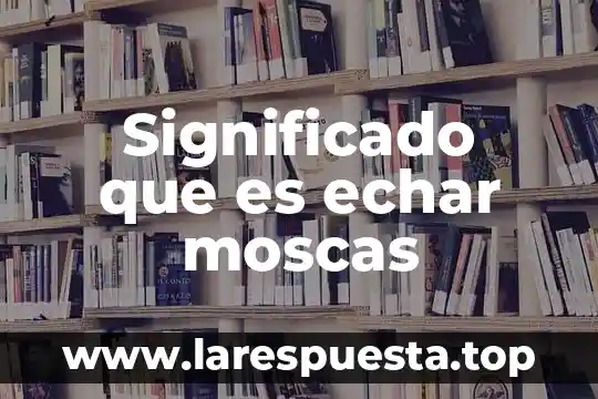 Significado que es echar moscas