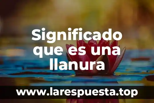 Significado que es una llanura