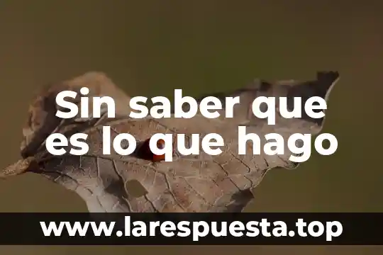 Qué es el saber académico 8 Sin saber que es lo que hago
