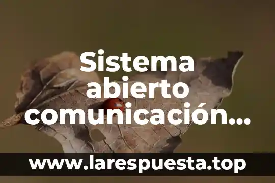 Qué es raíz en comunicación y lenguaje 8 Sistema abierto comunicación que es