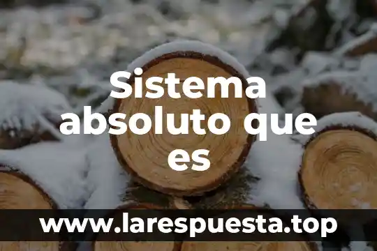 Que es el atragantamiento en niños 3 Sistema absoluto que es