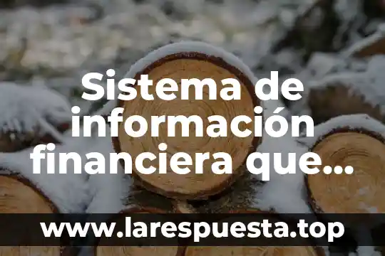Sistema de información financiera que es