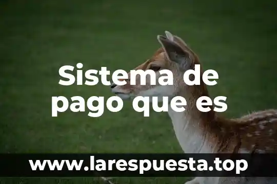 Sistema cirno que es 4 Sistema de pago que es