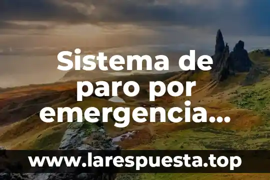 Que es sistema neurona 8 Sistema de paro por emergencia que es
