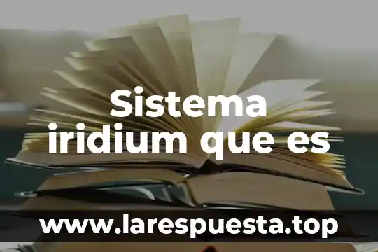 Que es sistema neurona 3 Sistema iridium que es