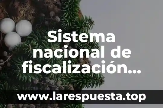 Qué es el numerario nacional 8 Sistema nacional de fiscalización que es