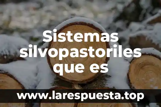 Sistemas amm que es 3 Sistemas silvopastoriles que es