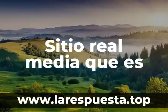Que es wmf en sitio web 8 Sitio real media que es