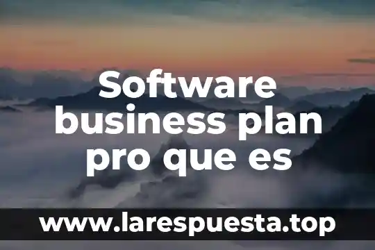 Que es una persona mas simple 7 Software business plan pro que es