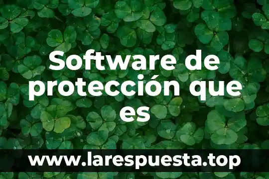 Software Crocodile que es 4 Software de protección que es