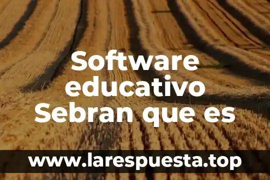 Reingreso educativo que es 6 Software educativo Sebran que es