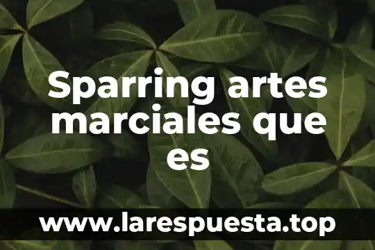 Que es mejor artes marciales mixtas o taekwondo 4 Sparring artes marciales que es