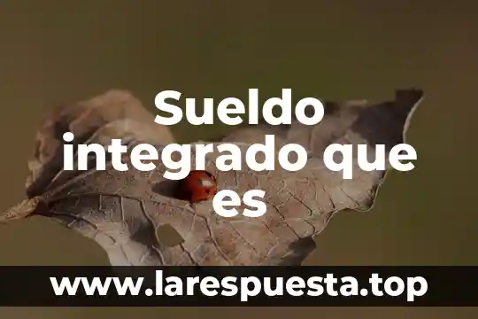Integrado 7432 que es 3 Sueldo integrado que es