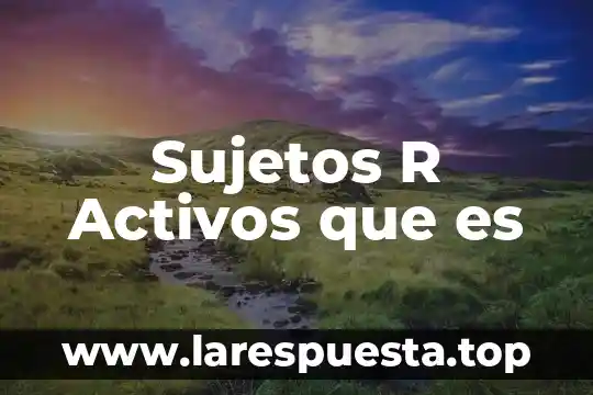 Que es activos prescindibles 6 Sujetos R Activos que es