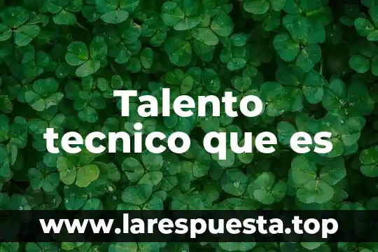 Que es atraccion en gestion de talento humano 5 Talento tecnico que es