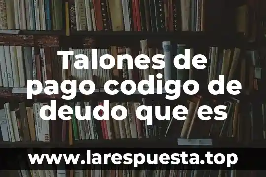 Talones de pago codigo de deudo que es