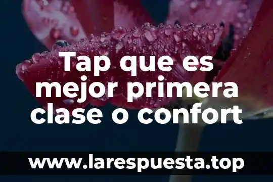 Tap que es mejor primera clase o confort