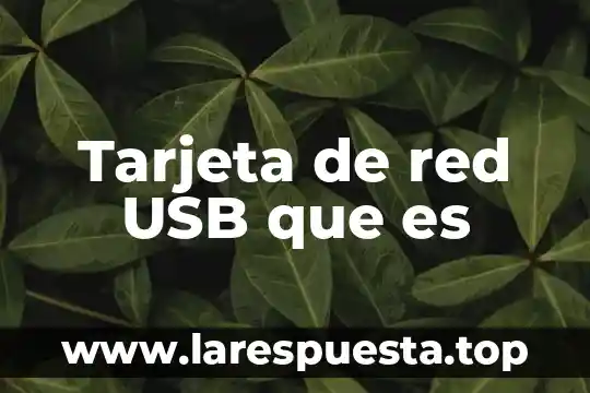 Tarjeta de red USB que es