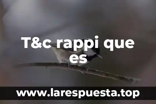 T&c rappi que es