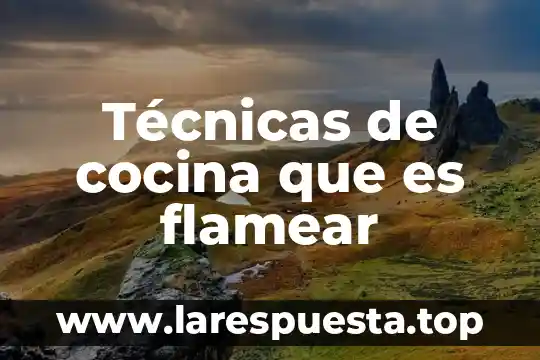 Que es una receta libro de cocina 8 Técnicas de cocina que es flamear