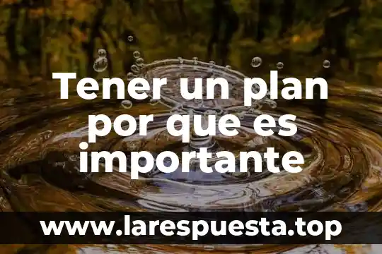 Que es ser tener criterio propio 3 Tener un plan por que es importante