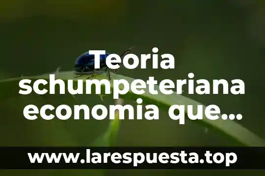Que es feudo en economia 7 Teoria schumpeteriana economia que es