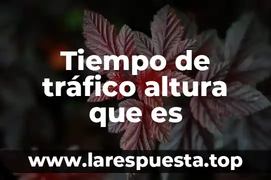 Tiempo de tráfico altura que es