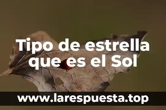 Tipo de estrella que es el Sol