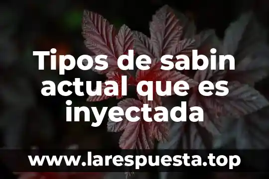 Que es una oracion y tipos de oracion 4 Tipos de sabin actual que es inyectada